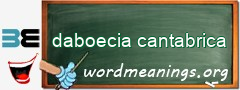 WordMeaning blackboard for daboecia cantabrica